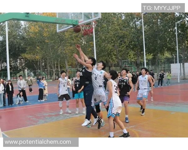 当明星们挥洒汗水在篮球场上的精彩瞬间与激情碰撞的故事